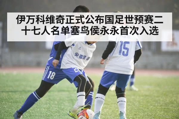 伊万科维奇正式公布国足世预赛二十七人名单塞鸟侯永永首次入选