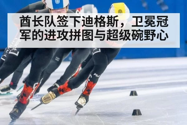 酋长队签下迪格斯，卫冕冠军的进攻拼图与超级碗野心