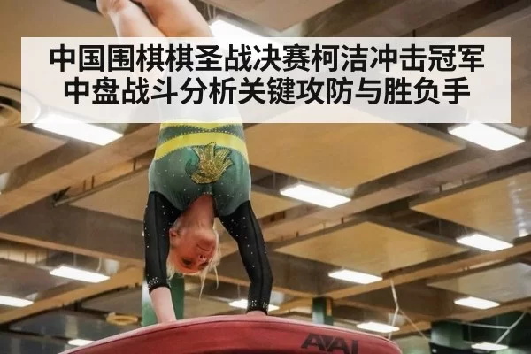 中国围棋棋圣战决赛柯洁冲击冠军中盘战斗分析关键攻防与胜负手